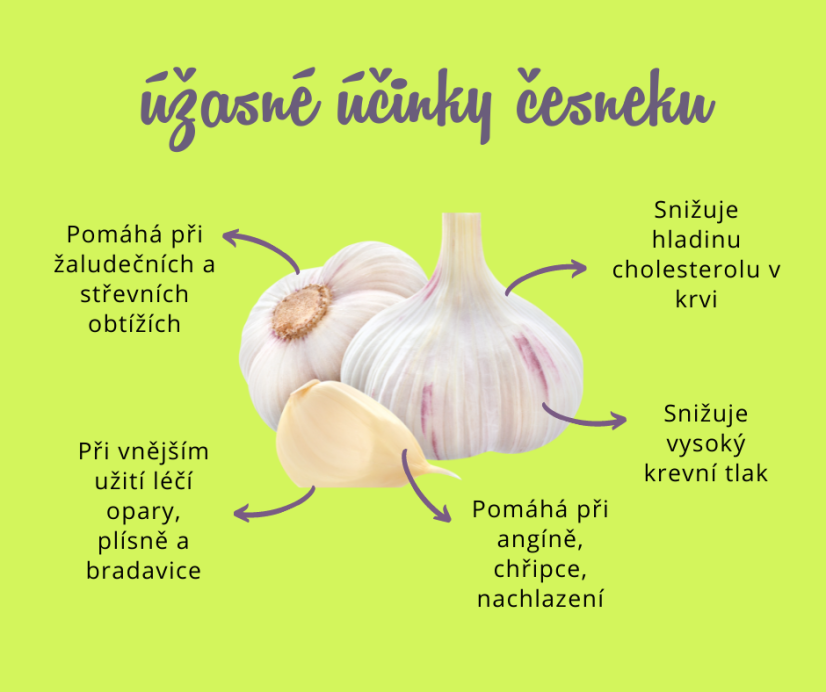 Česnek 1. třída velikosti